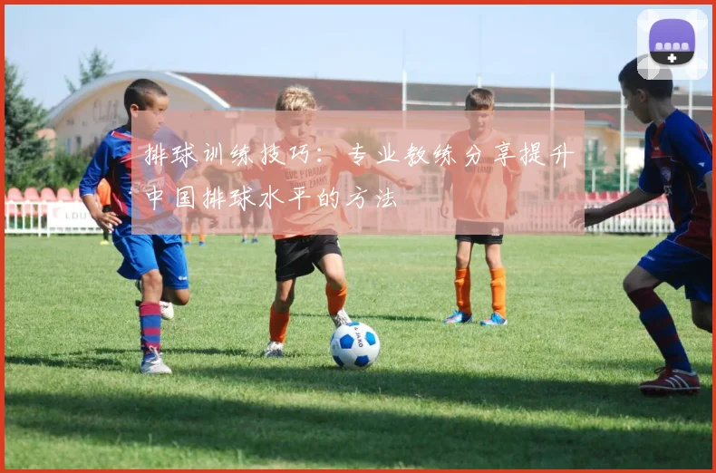 排球训练技巧:专业教练分享提升中国排球水平的方法